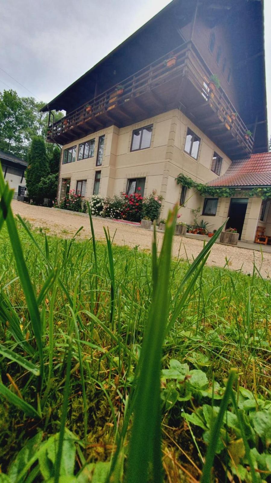 Pensiunea Belvedere Bran  Exteriér fotografie